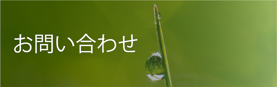 お問い合わせ