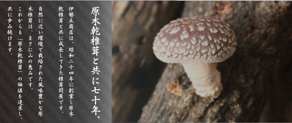 原木乾椎茸と共に70年