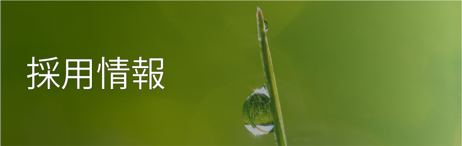 採用情報